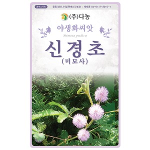 신경초(미모사)꽃 씨앗 - 1g (약2.5ml)/100g/1kg