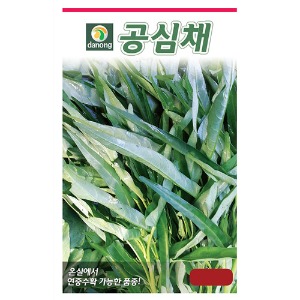 공심채씨앗-동남아시아 대표채소(필리핀 Kang kong) 10g/1kg