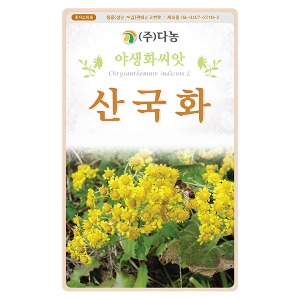 산국화씨앗 1kg/야생화꽃씨앗