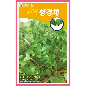 새싹청경채씨앗-12g(약20ml)/새싹채소씨앗