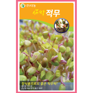 새싹적무씨앗 1kg/새싹채소씨앗