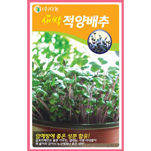 새싹적양배추씨앗-12g(약20ml)/새싹채소씨앗