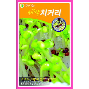 새싹치커리씨앗 (25g)약50ml/새싹채소씨앗
