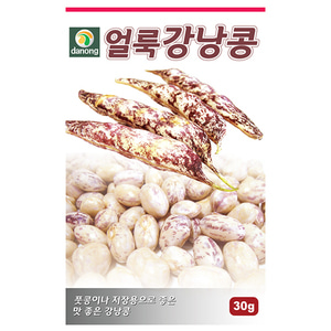 얼룩강낭콩씨앗(왜성) 30g;600g