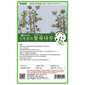 참죽나무씨앗 20g;500g;1kg-수목씨앗/조경