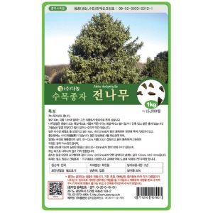 전나무씨앗 50g/500g/1kg