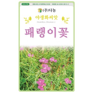 패랭이꽃씨앗 1kg/야생화꽃씨앗