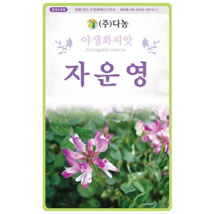 자운영꽃 씨앗 - 2g (약3ml)/야생화꽃씨앗