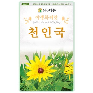 천인국씨앗 - 1kg/야생화꽃씨앗