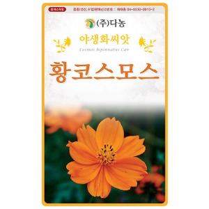 황코스모스꽃씨앗 - 1kg야생화꽃씨앗