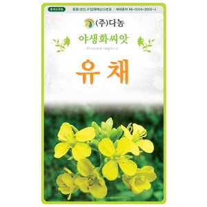 유채꽃씨앗 -5g (약10ml)/야생화꽃씨앗
