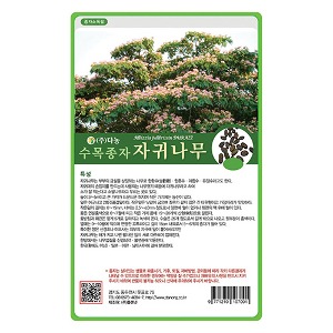 자귀나무씨앗20g;500g;1kg-수목씨앗/조경